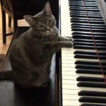 Play the piano how play piano 150x150 How to Play the Piano